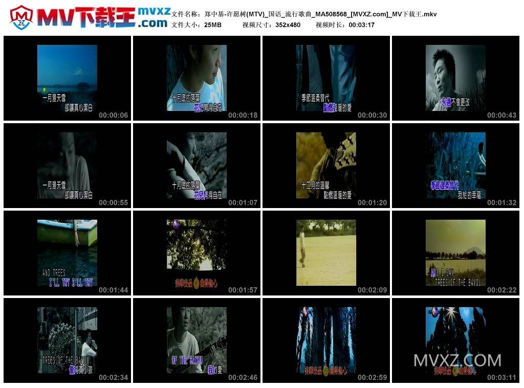 郑中基-许愿树(MTV)_国语_流行歌曲_MA508568